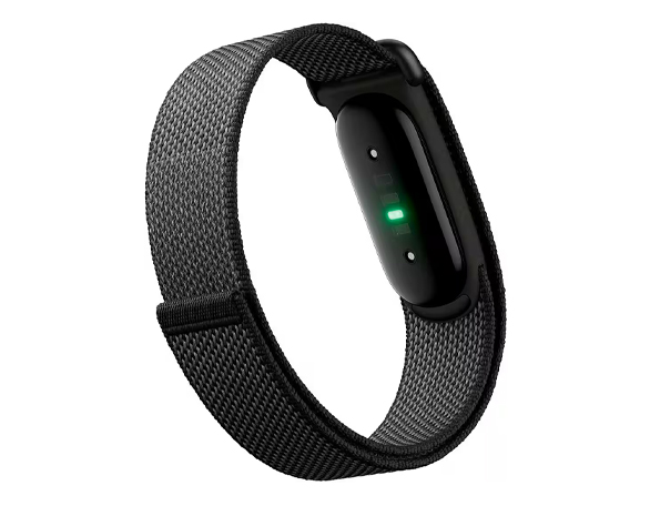 Geeignet für Fitbit Air