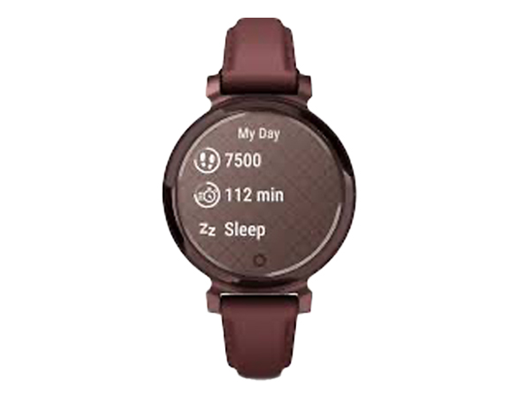 Geeignet für Garmin Lily 2