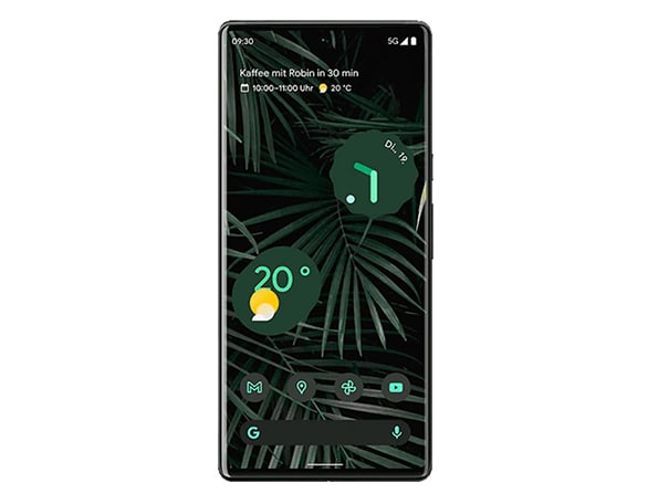Geeignet für Google Pixel 6 Pro