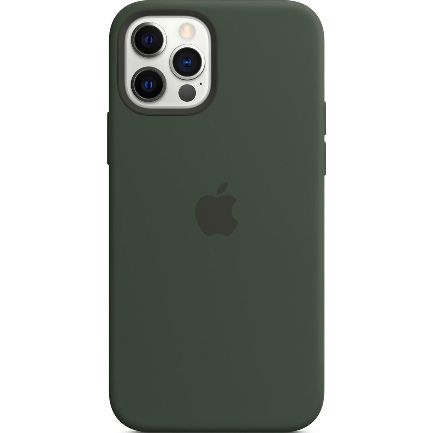 Silikon-Case MagSafe für das Apple iPhone 12 (Pro) - Cypress Green
