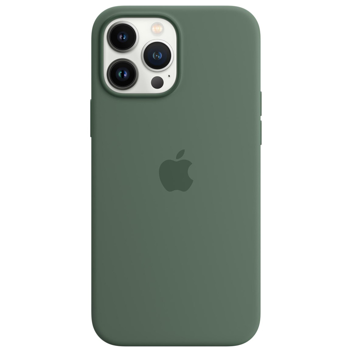 Silikon-Case MagSafe für das Apple iPhone 13 Pro Max - Eucalyptus
