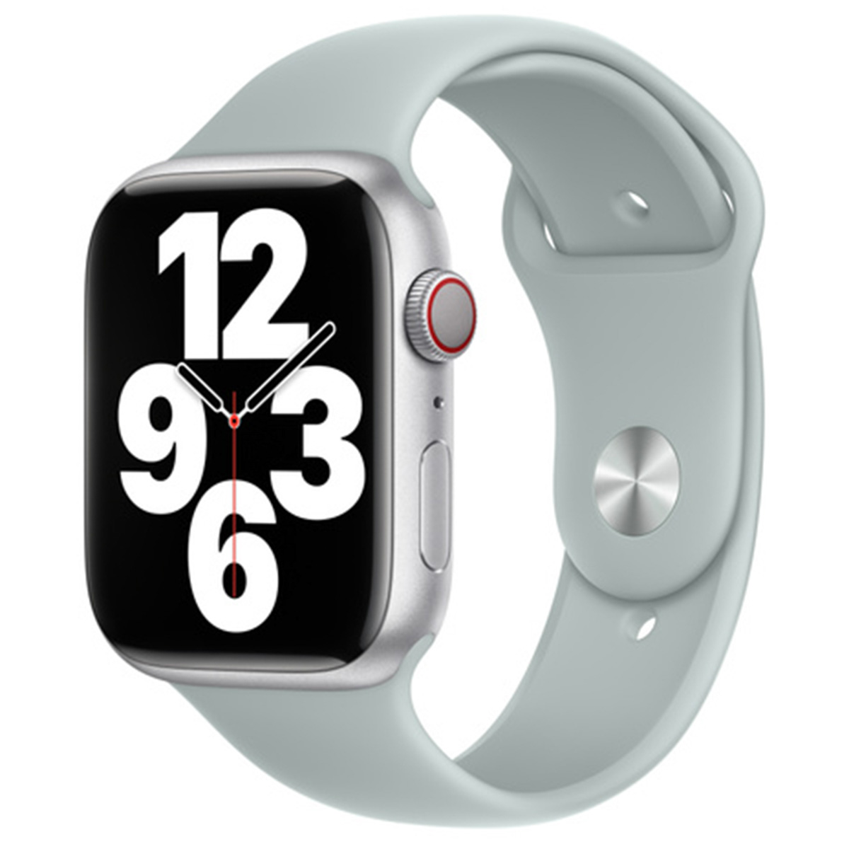 Sport Armband für  Apple Watch | 44/45/46/49 mm – Succulent