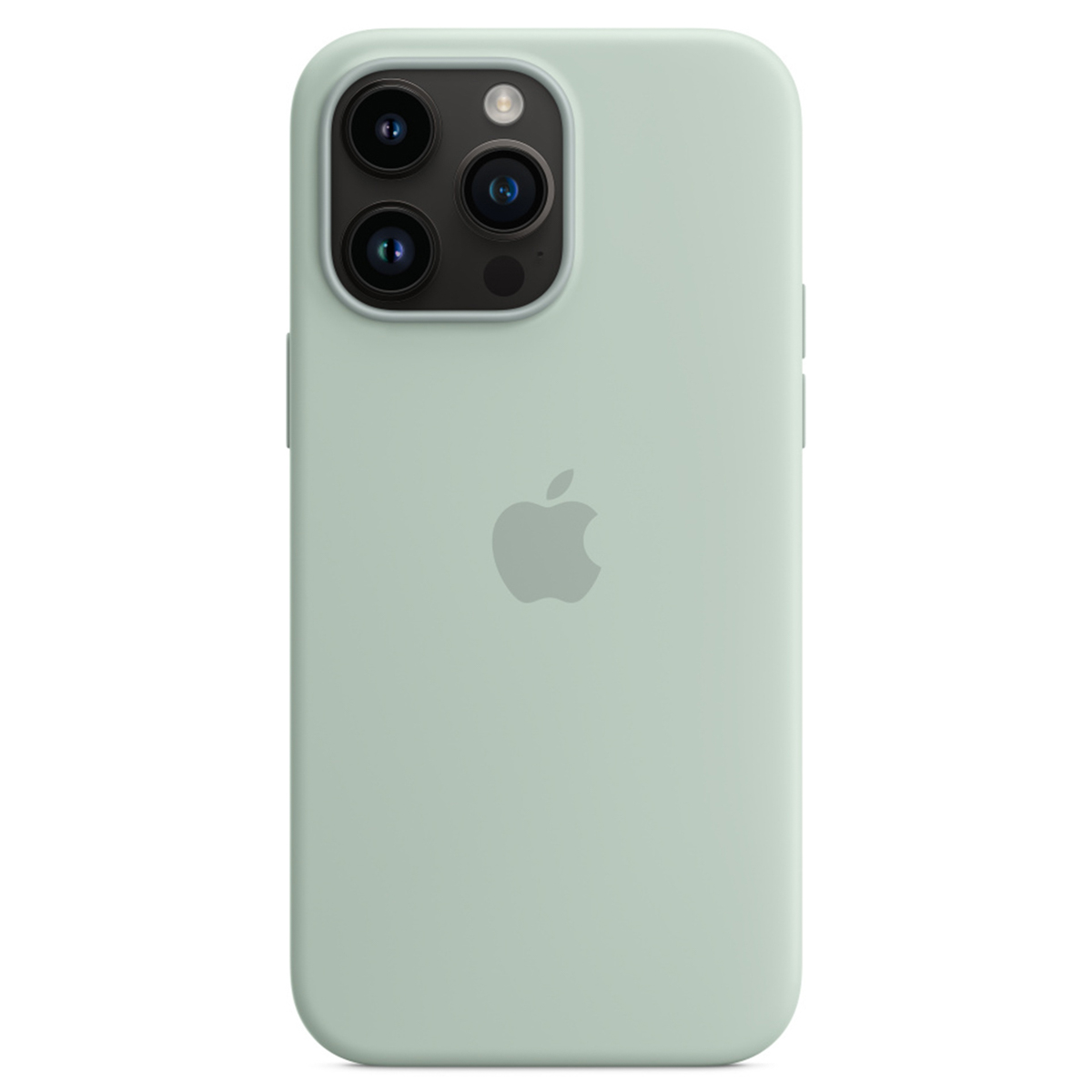 Silikon-Case MagSafe für das Apple iPhone 14 Pro Max - Succulent