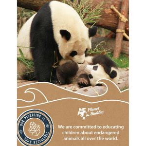 Planet Buddies Kabellosen Kopfhörer für Kinder - Panda