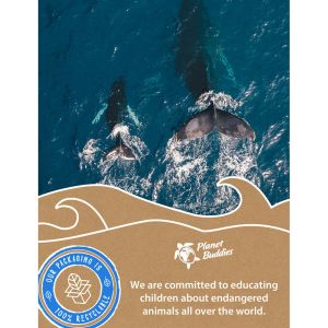 Planet Buddies ﻿Kopfhörer für Kinder - Wal