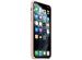 Apple Silikon-Case Pink Sand für das iPhone 11 Pro Max