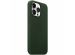 Apple Leder-Case MagSafe iPhone 13 Pro Max - Sequoia Green