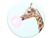 PopSockets PopGrip - Abnehmbar - Abnehmbar - Bubblegum Giraffe