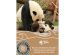 Planet Buddies Kabellosen Kopfhörer für Kinder - Panda