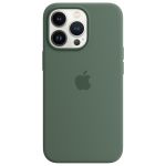Apple Silikon-Case MagSafe für das iPhone 13 Pro - Eucalyptus