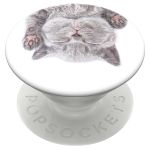 PopSockets PopGrip - Abnehmbar - Cat Nap